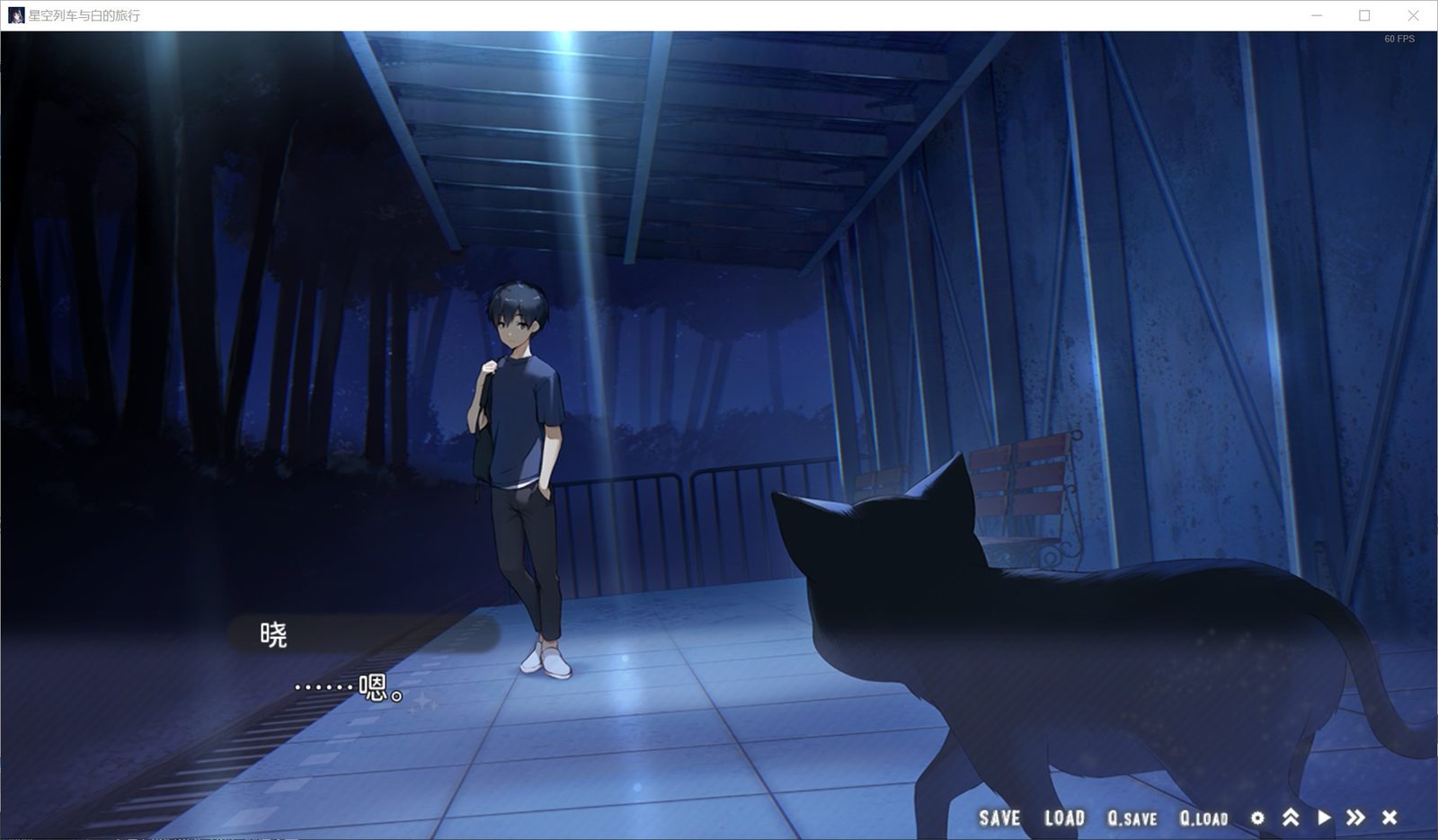 星空列车与白的旅行STEAM版 Steam官方中文 内容截图 1